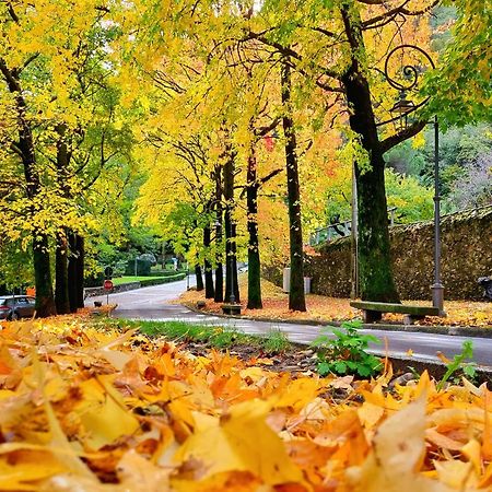 Hotel Del Fiume Cannobio Dış mekan fotoğraf