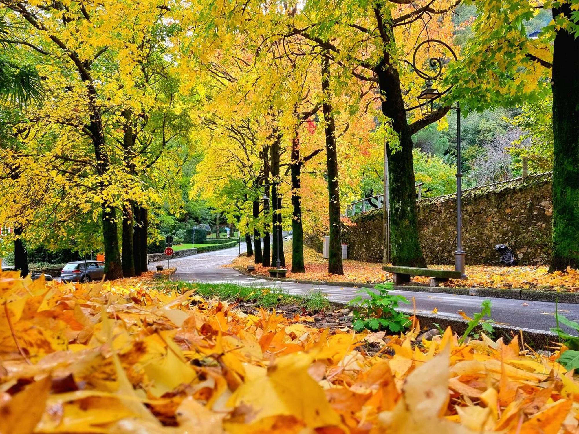 Hotel Del Fiume Cannobio Dış mekan fotoğraf